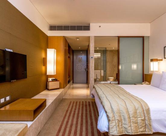 Hotel Plaza International Near Delhi Airport New Delhi